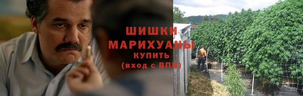 стаф Белоозёрский