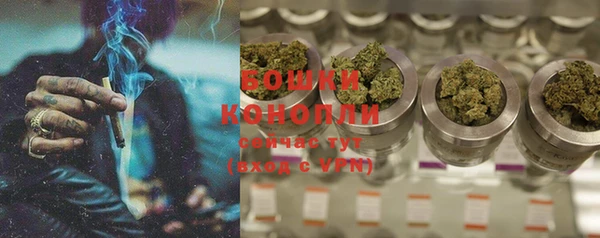 стаф Белоозёрский